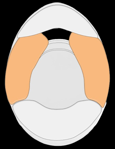 Schuberth Wangenpolster SF3