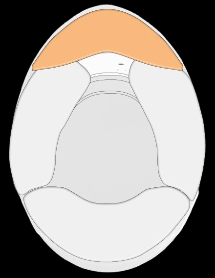 Schuberth Deflettore d'Aria SF4/SP1